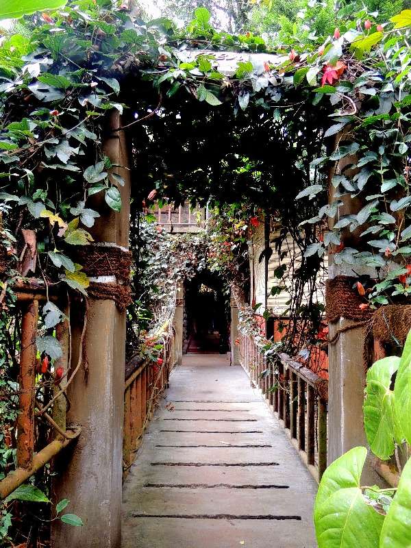 Tea Plantation Stay In Munnar Image