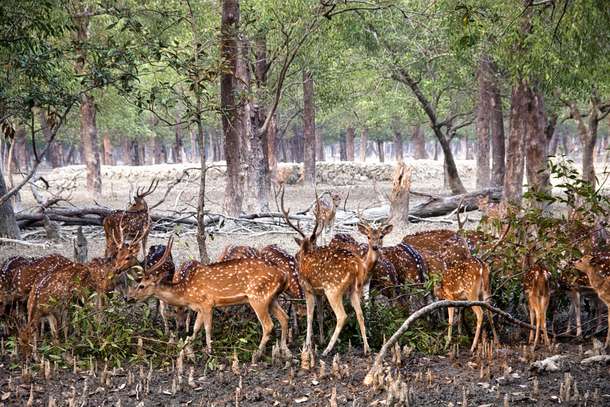 Py763jqfr8vfpdt5kxvg6t3vd79c 1590752582 shutterstock 597391175