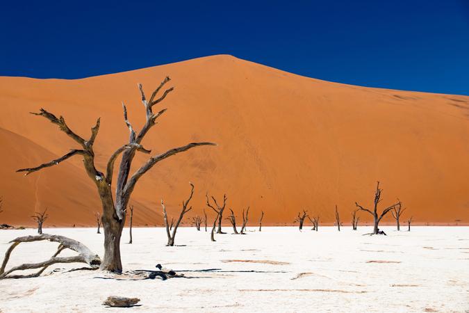 Namib Naukluft Park