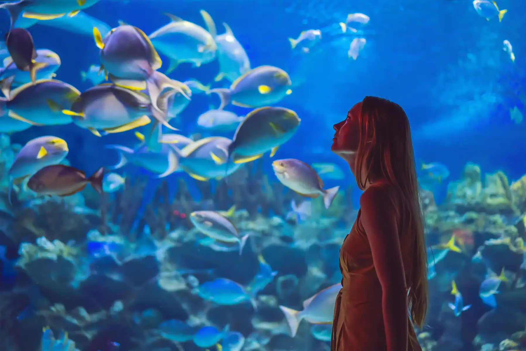 Yokohama Hakkeijima Sea Paradise Tickets Image