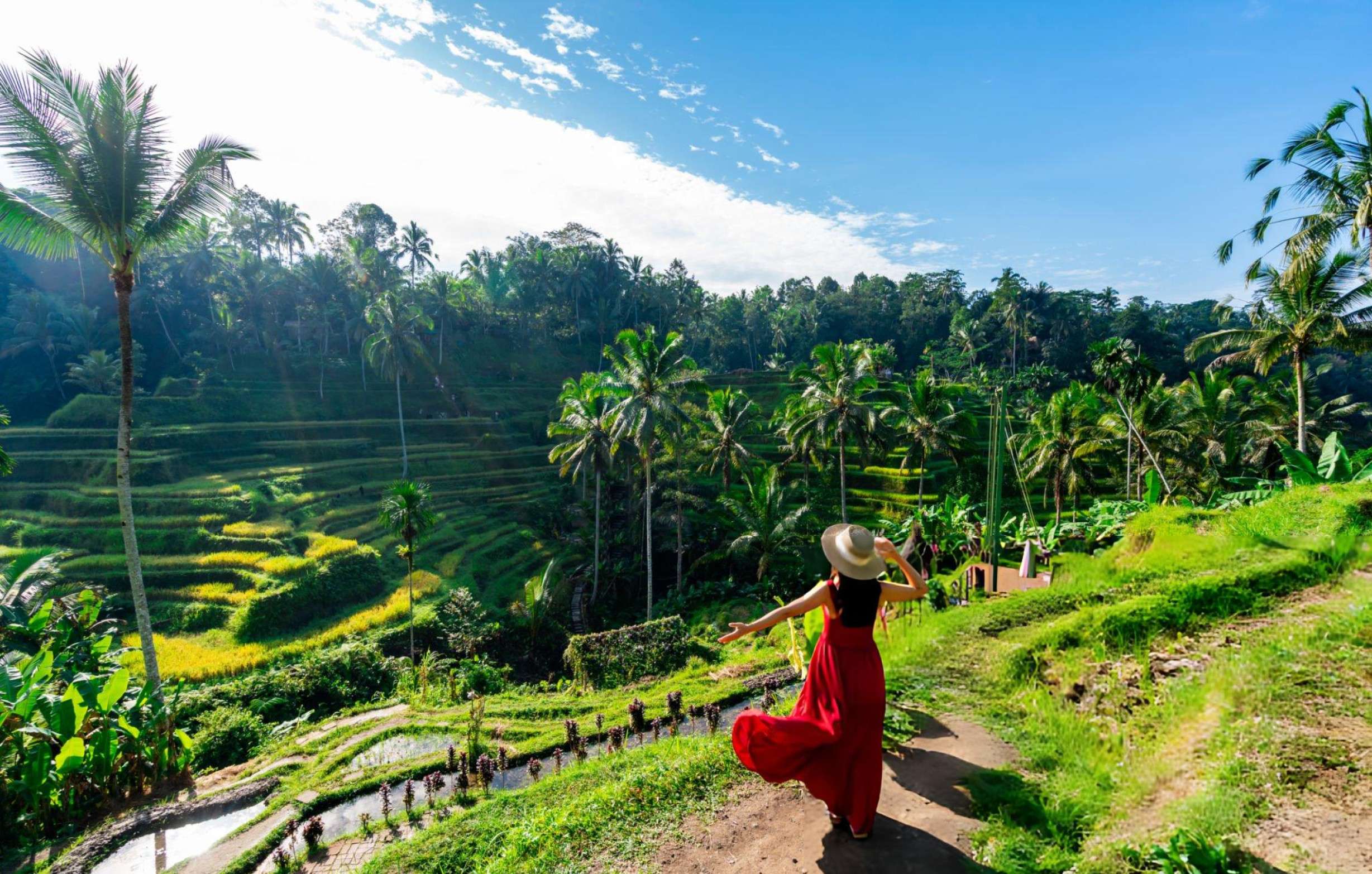 Girl enjoying the view of the Tegallalang Rice Terraces