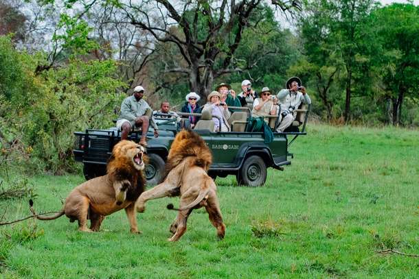 Tourists observing lions at Kruger National Park