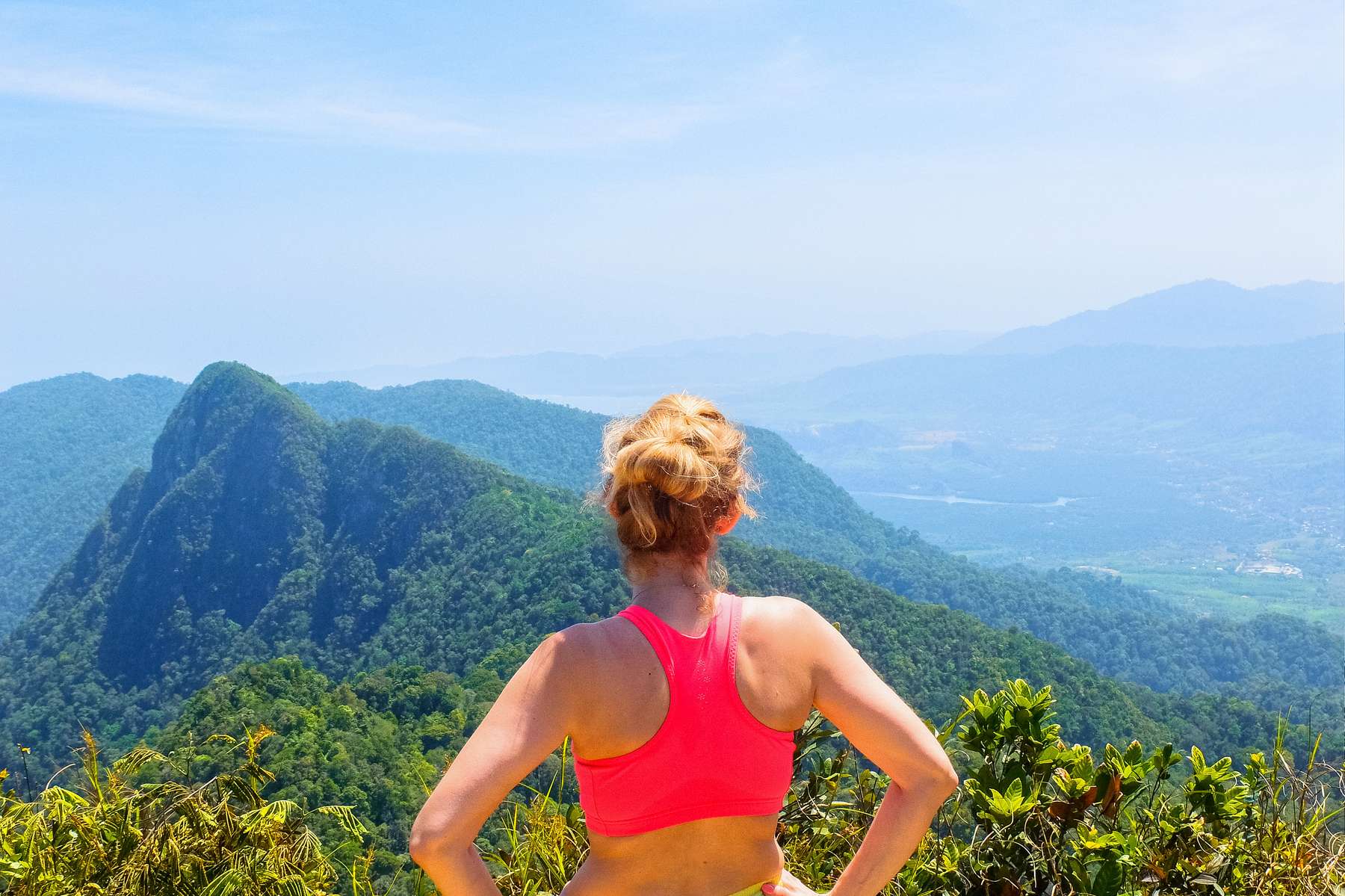 Morning Rainforest Trek Image