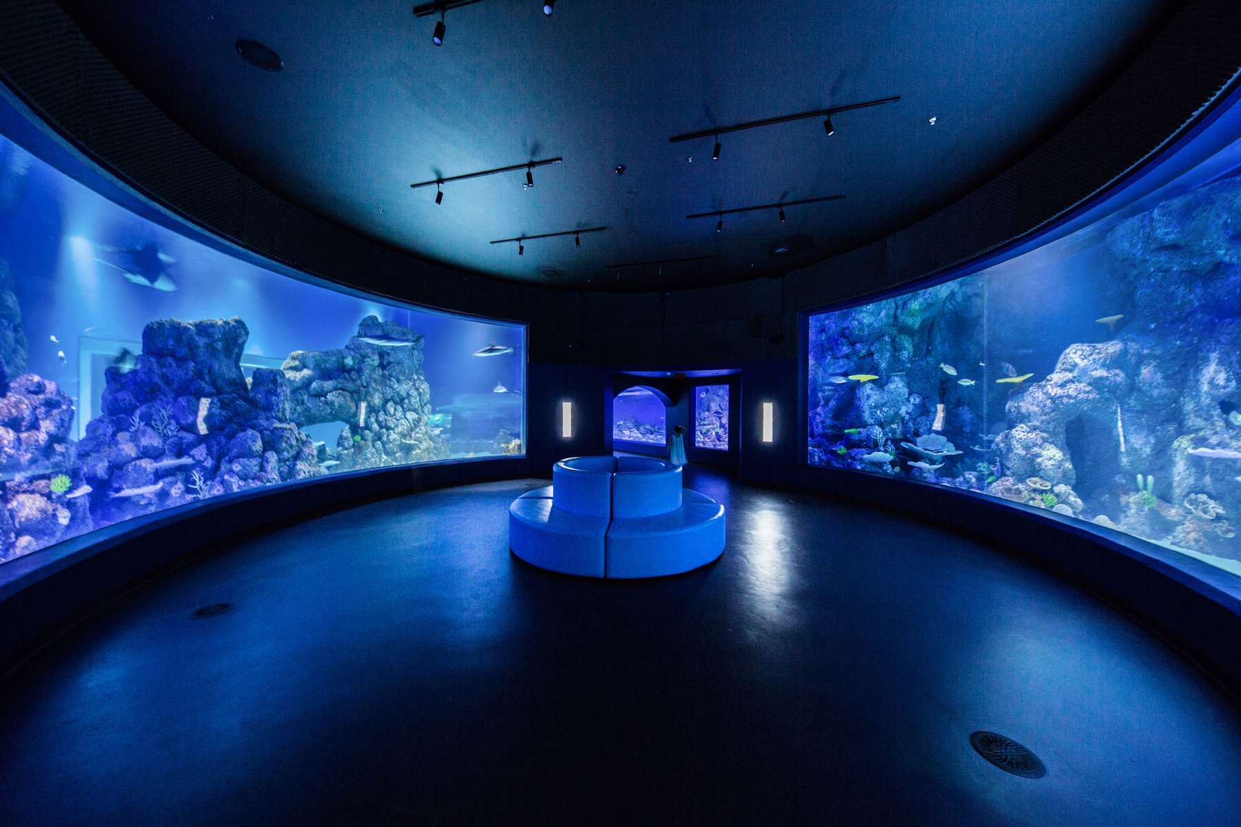 Cairns Aquarium Tickets Image