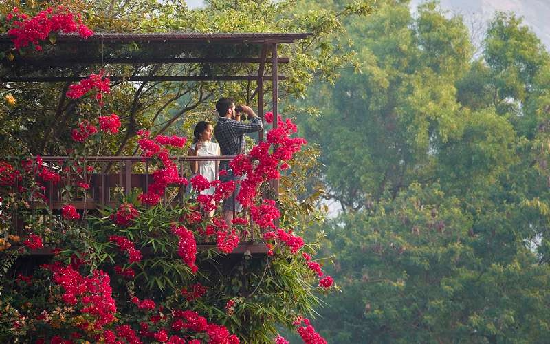 Jalsrushti Island Resort Image