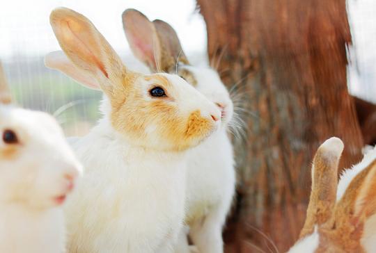 Camping Near Delhi For A Weekend Getaway Image