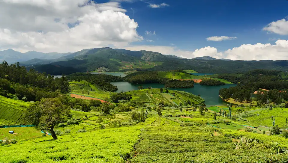 Yelagiri Tour Package From Bangalore Image