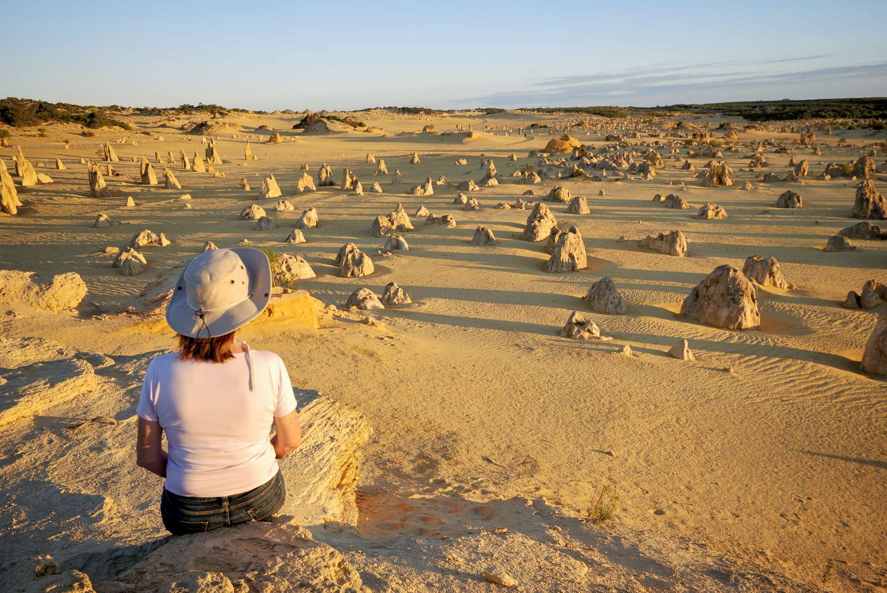 Pinnacle Desert Sunset & Stargazing Tour from Perth Image