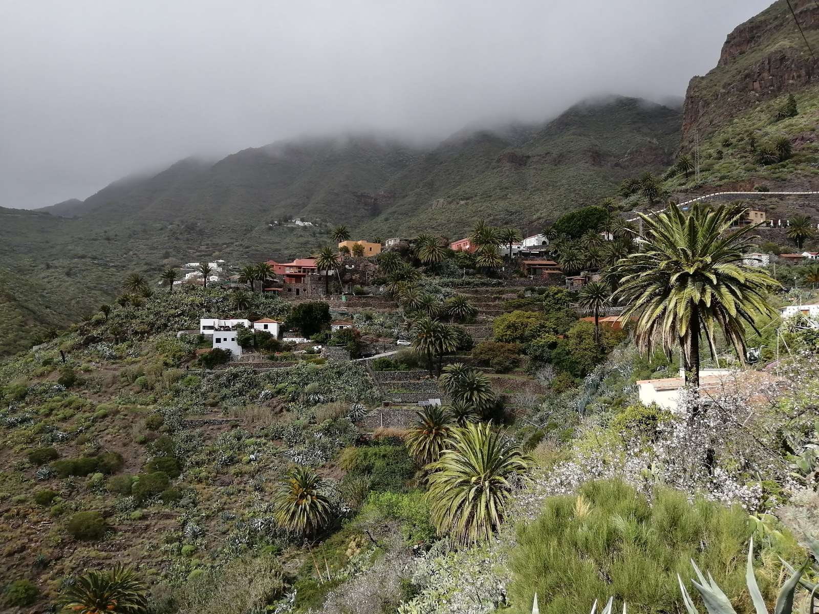 Teide National Park, Volcano Teide & Masca Guided Tour Image