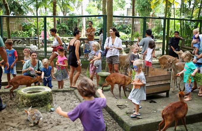 Connect with the wildreness