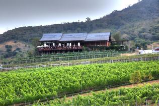 Q6z3tnxr3fjzk8a9xul70eaz4ty9 pixelcut export%20(1)