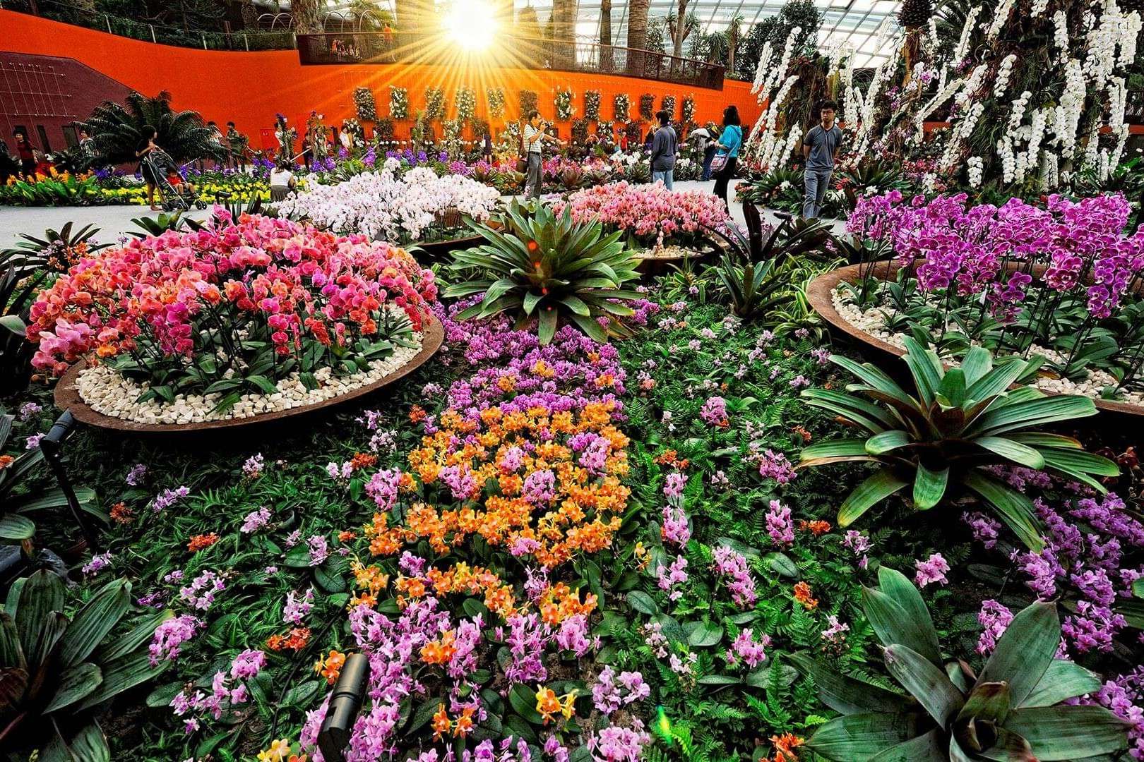 Flower Dome Tickets Image