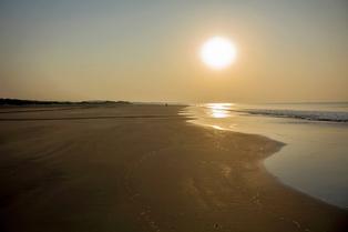 Q7kwon9dg3blfc5xl8we8jn66swn 1585032429 shutterstock 1346795387