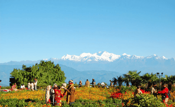 Q7m04qmk3jh8tccix62mi1gjxaty 1568188718 batasia loop.jpg