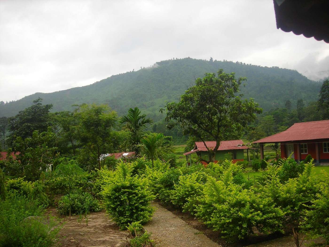 Jhalong River Camp near Siliguri Image