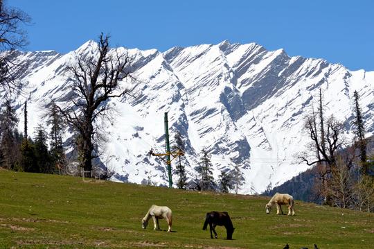Solang Valley Trek Image