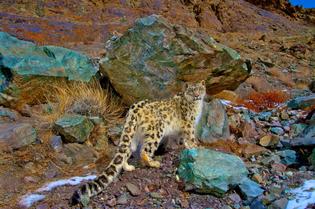 Qavbt0mnrd5sdgsu3rn8zbuoh970 1488817098 hemis.national.park.original.2928