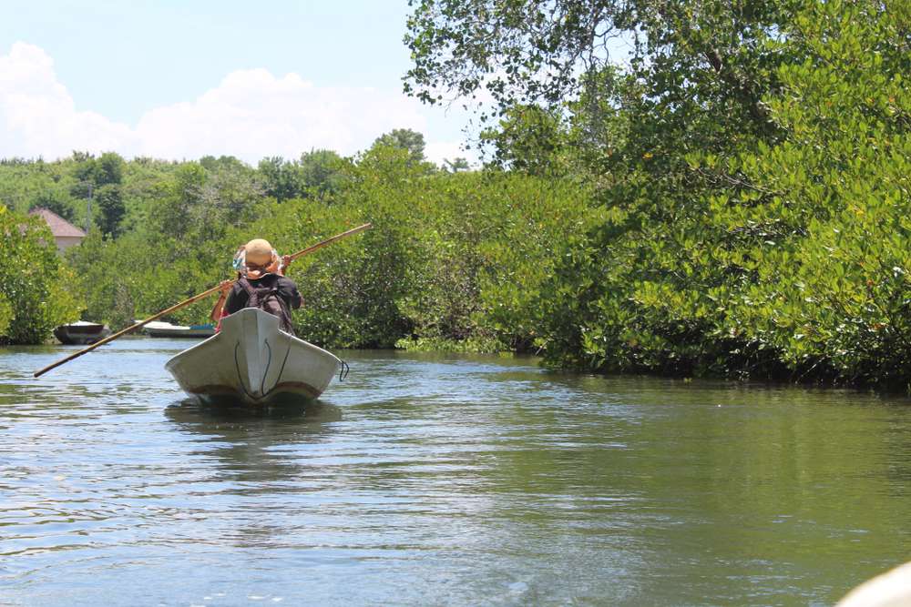 Snorkeling in Nusa Lembongan Image