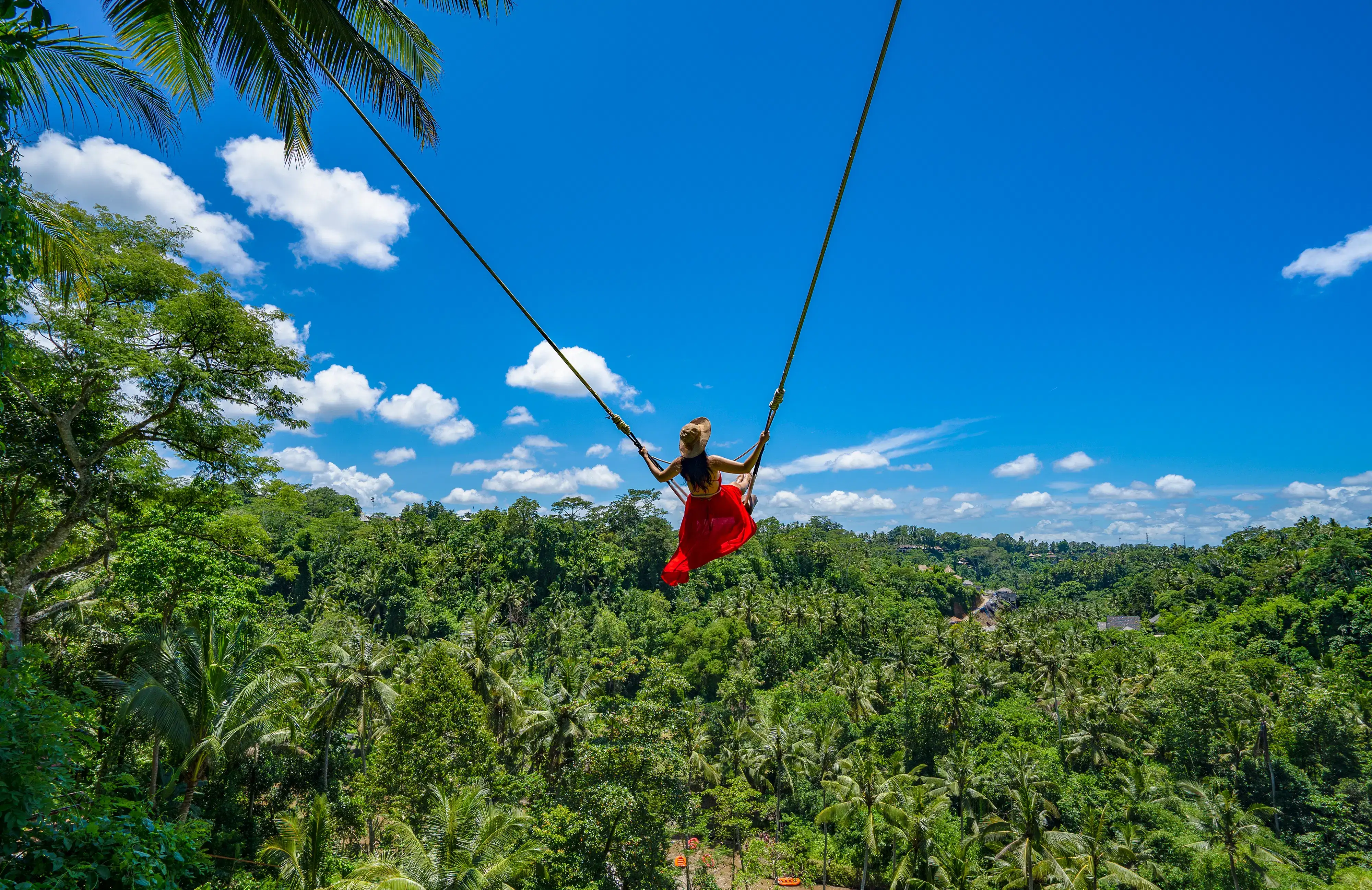 Soar high above the beautiful landscape of Bali on the famous Bali Swing
