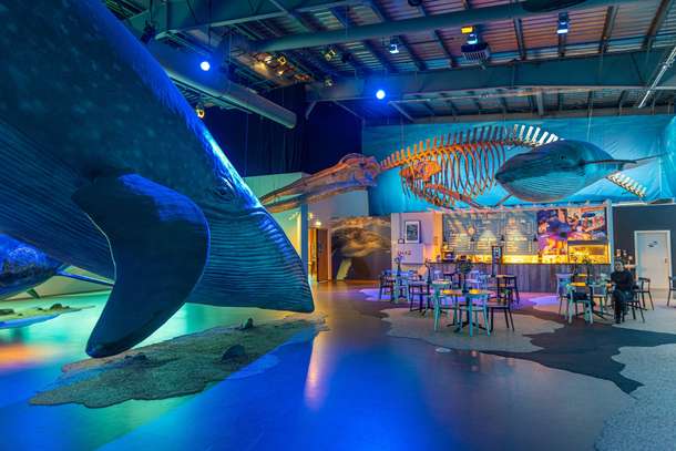 Qc9rt6ncwvgqhvlg7fxu16gevlzc shutterstock 2188857743