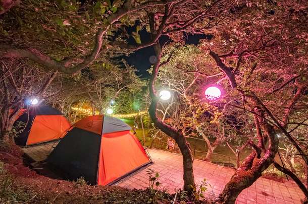 Qdk8eugt8iv67f1sr5pzn8fqolst campsite tents at night
