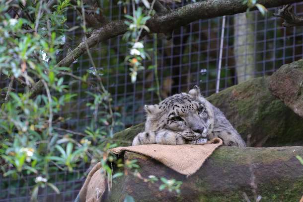 Qdtmm15rdt0aaa38cs76lcxcml3j downpic.cc 86222642