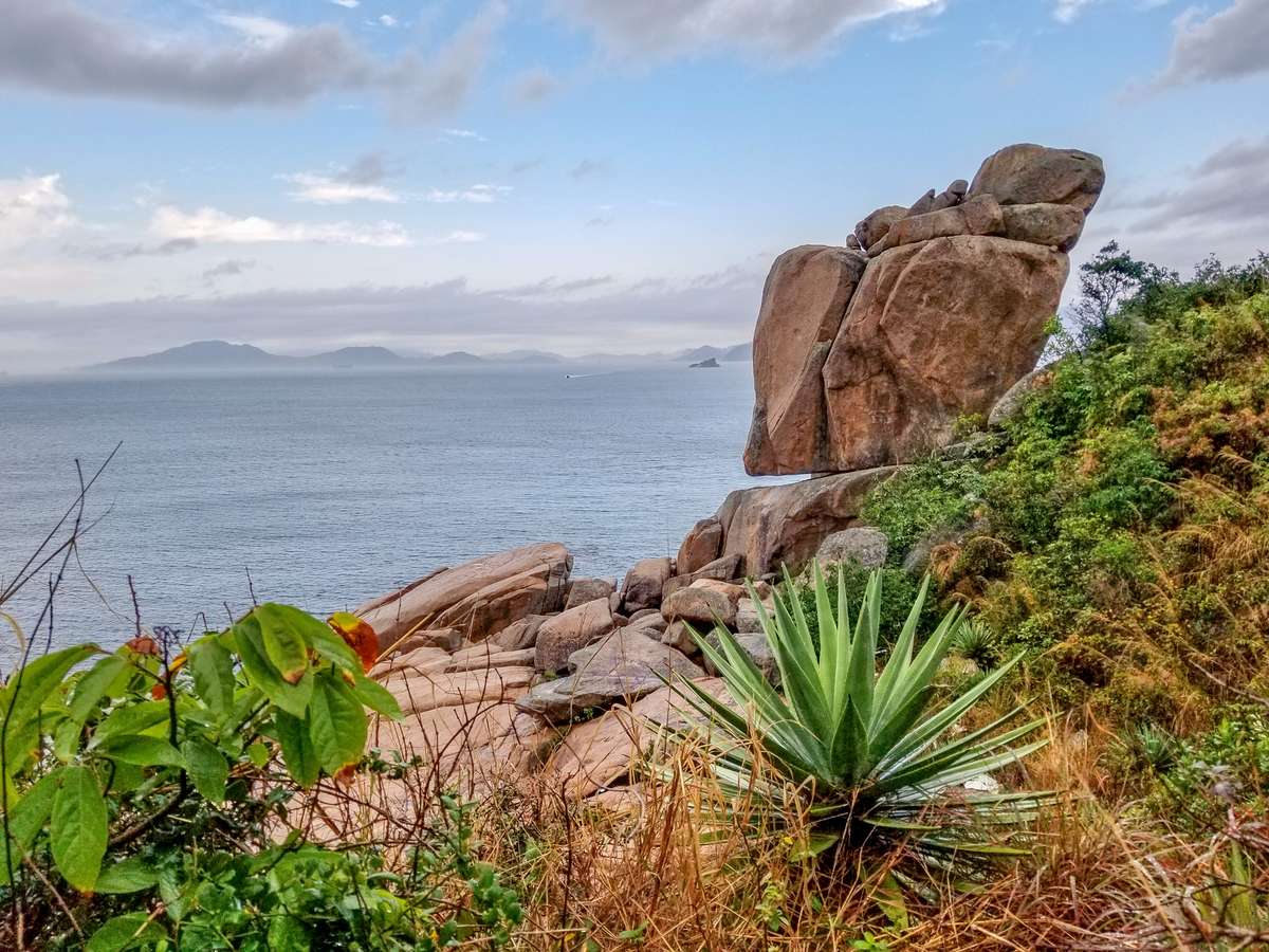 Qdtomxnjmss2qiv3cfyn5akf4tl2 1566457304 shutterstock 1326093224