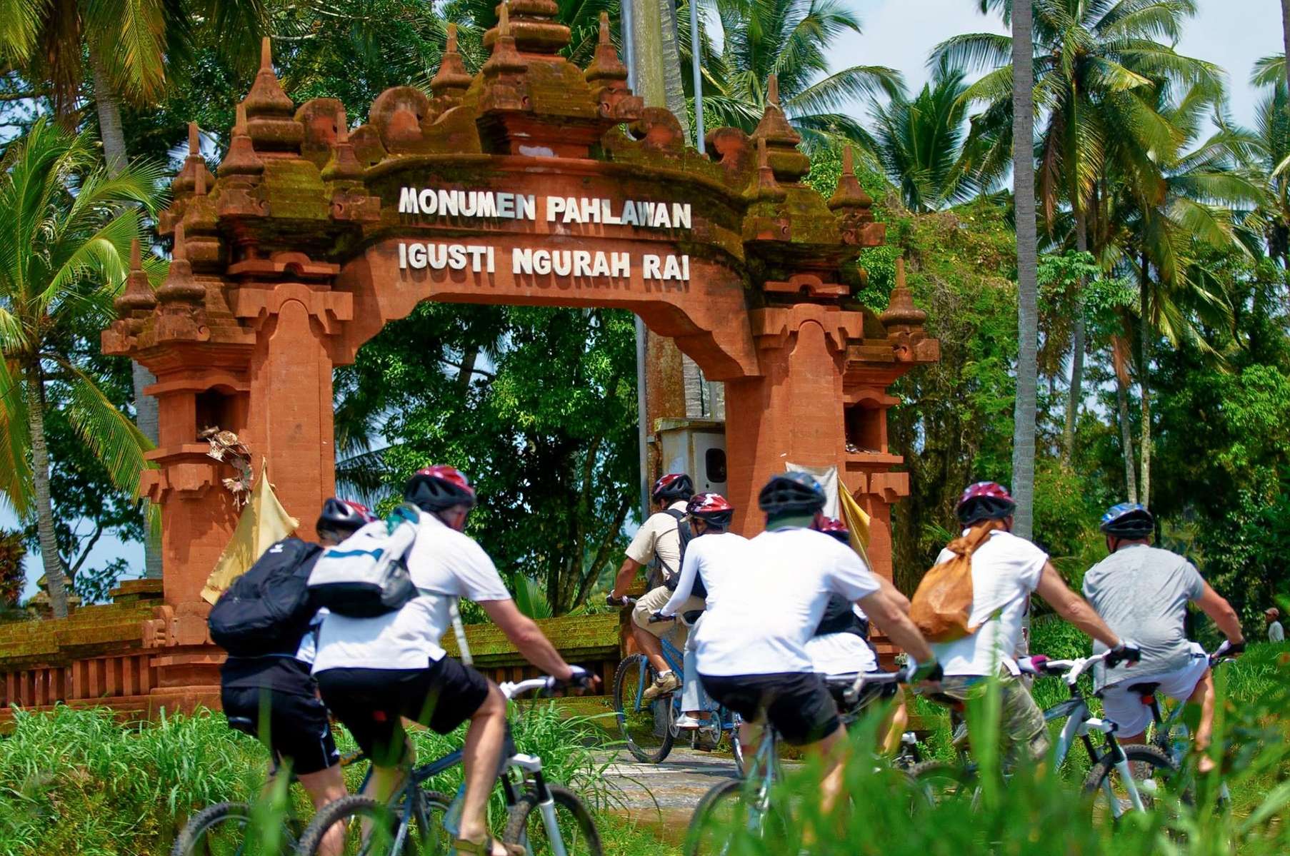 Cycling Through The Rice Paddy At Jatiluwih In Bal Image