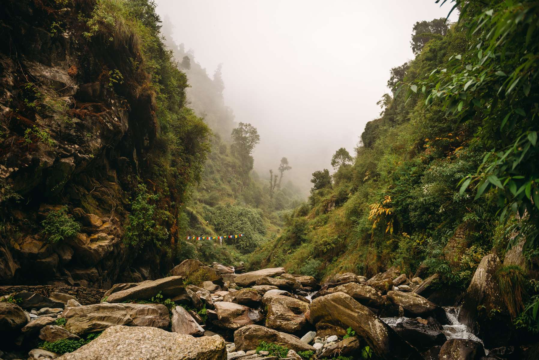 Delhi to Mcleodganj Package Image