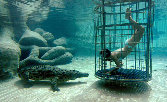 Captivating South Africa - Self Drive Image