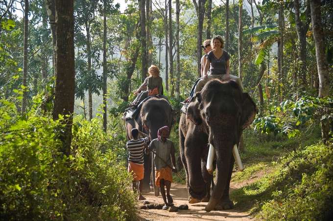 Enjoy an unforgettable elephant ride through forest trails