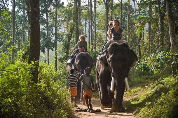 Enjoy an unforgettable elephant ride through forest trails
