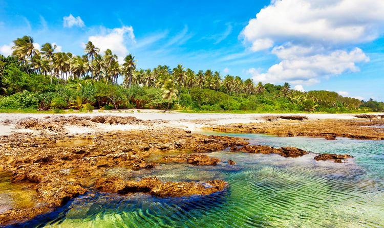 Stewart Island Beach