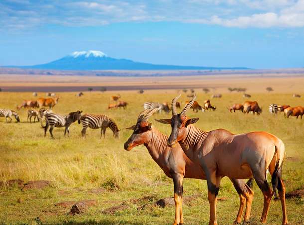 Qj03qcc7m9f4bymf0pq1toujotqs dl.beatsnoop.com 3000 l49gixfntw