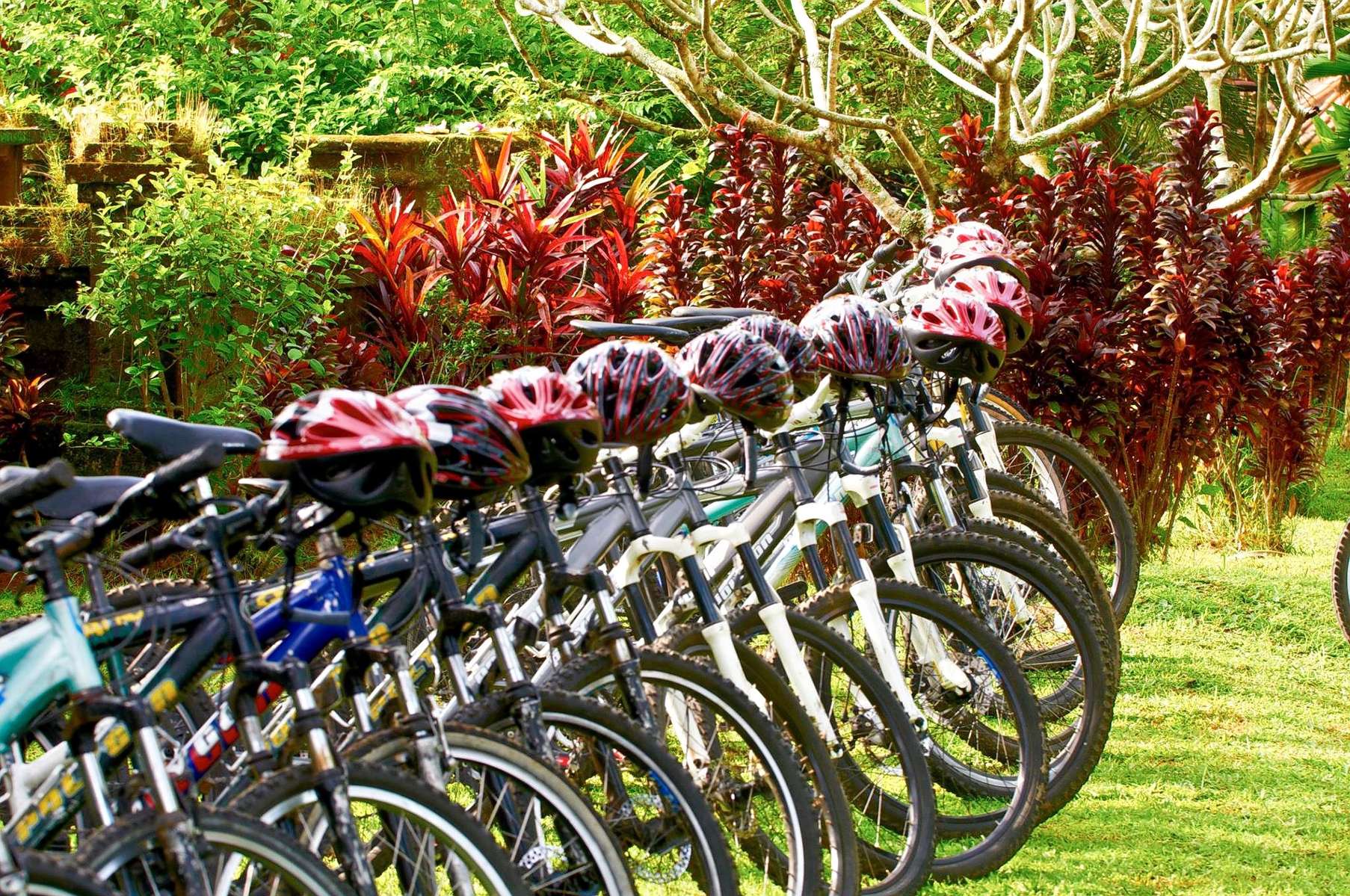 Mountain Cycling in Abun Village and Kintamani in Bali Image