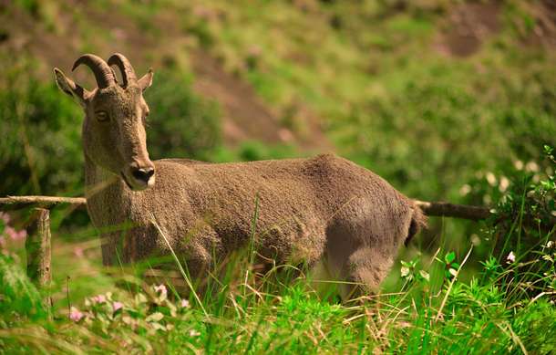 Qktvi41olmaj2enx95anrnqynrou dl.beatsnoop.com 3000 6bdfnrciko