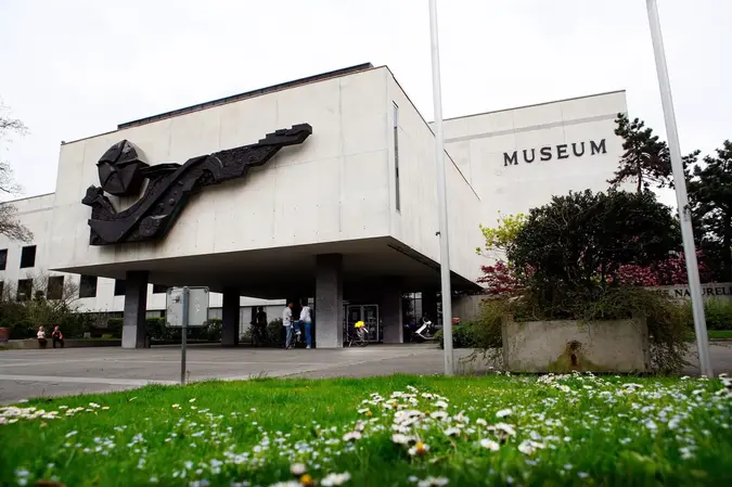 Muséum D'histoire Naturelle (Museum Of Natural History)