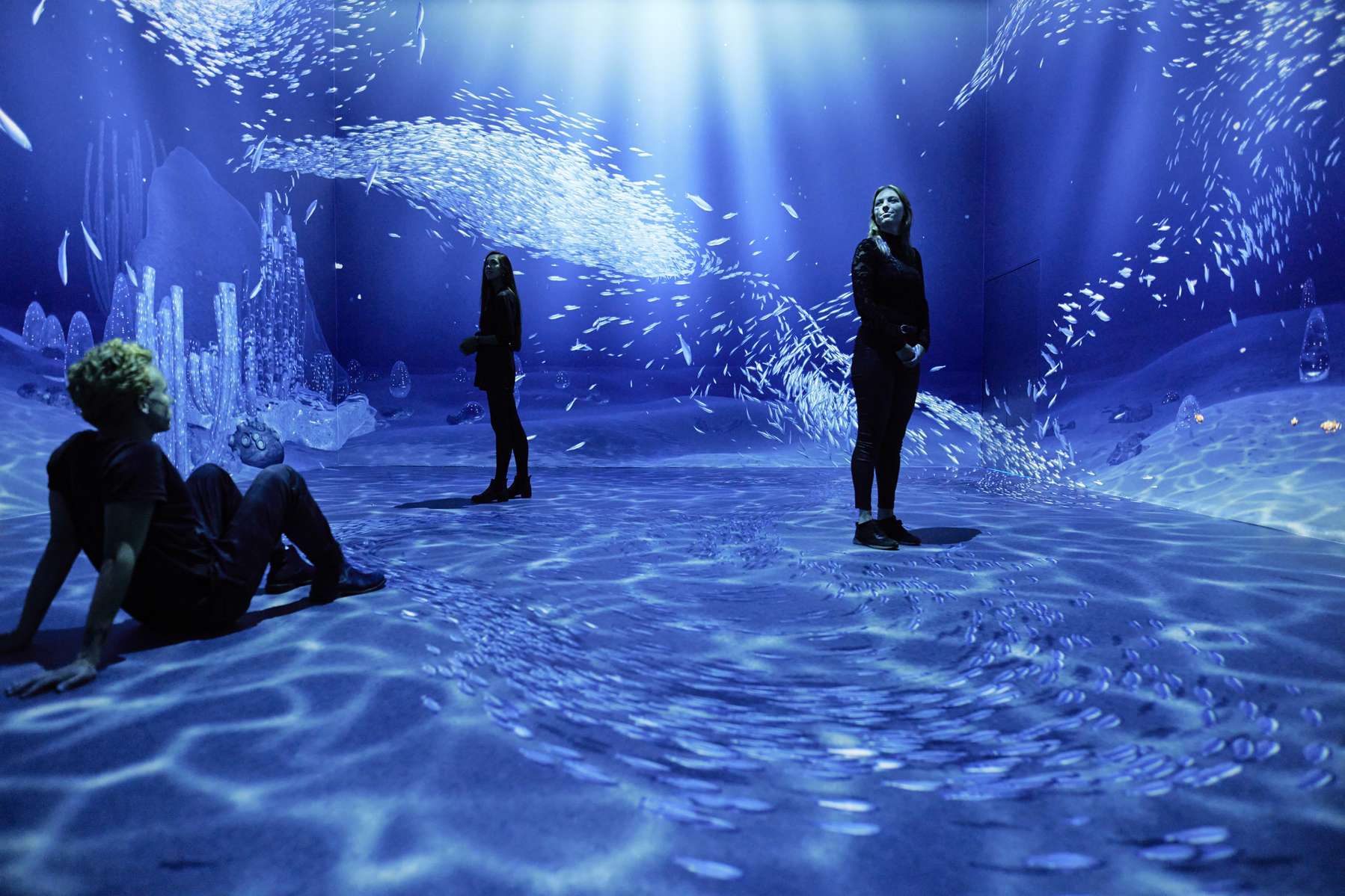 Remastered Rotterdam Tickets Image