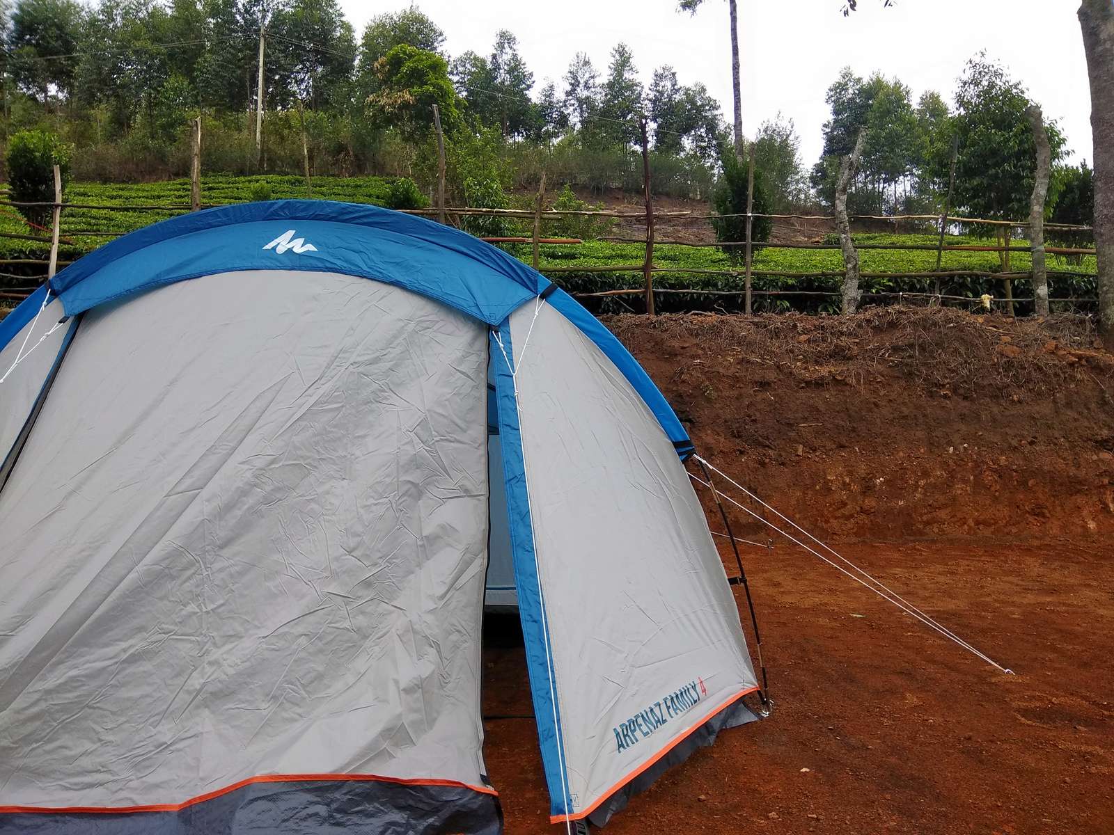 Kolukkumalai Tea Estate Walk Image