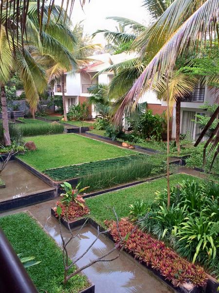 Windflower Prakruthi Image