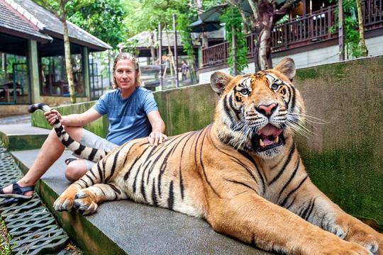 Phuket City Tour With Tiger Kingdom Image