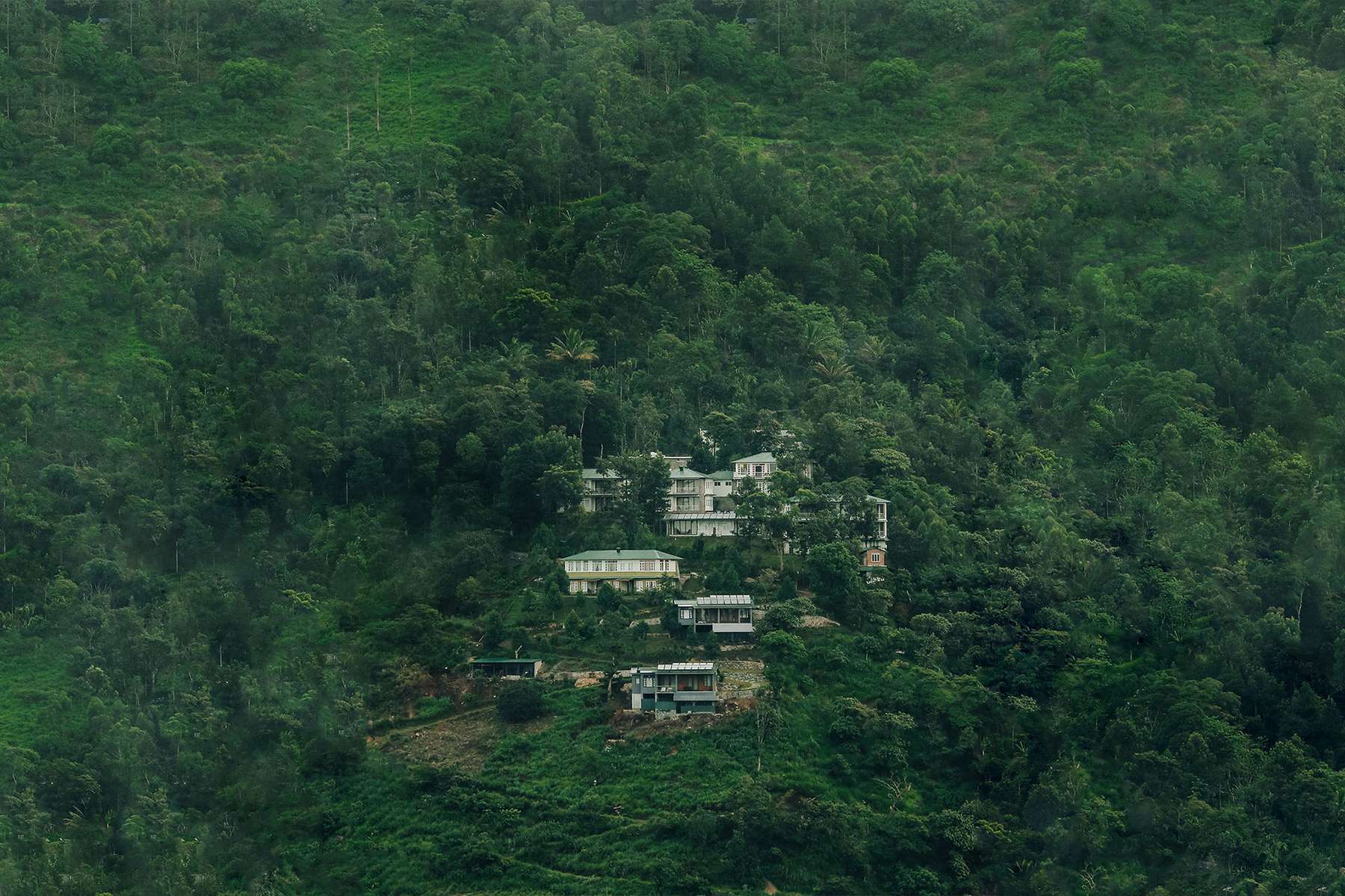 Spice Tree Resort, Munnar  Image
