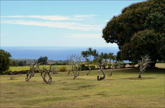 Kukuiolono Park and Golf Course