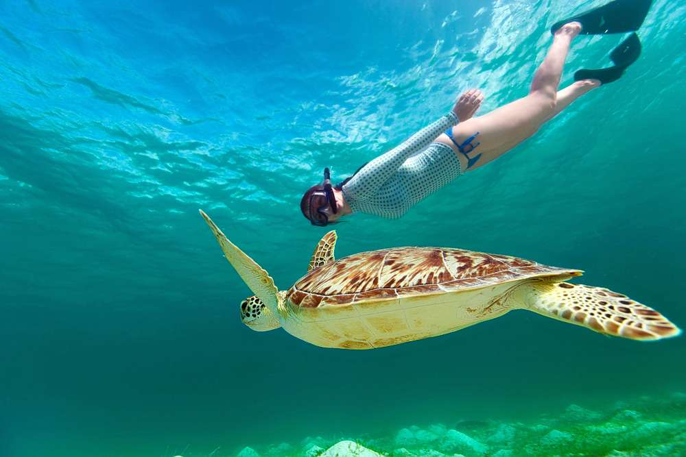 Snorkeling in Mirissa Image