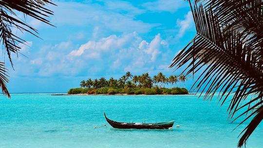 Tropical Vacation in Lakshadweep Image