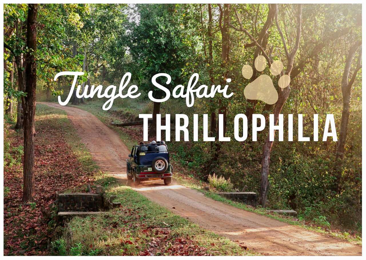 Safari Booking At Panna National Park With Jeep and Guide