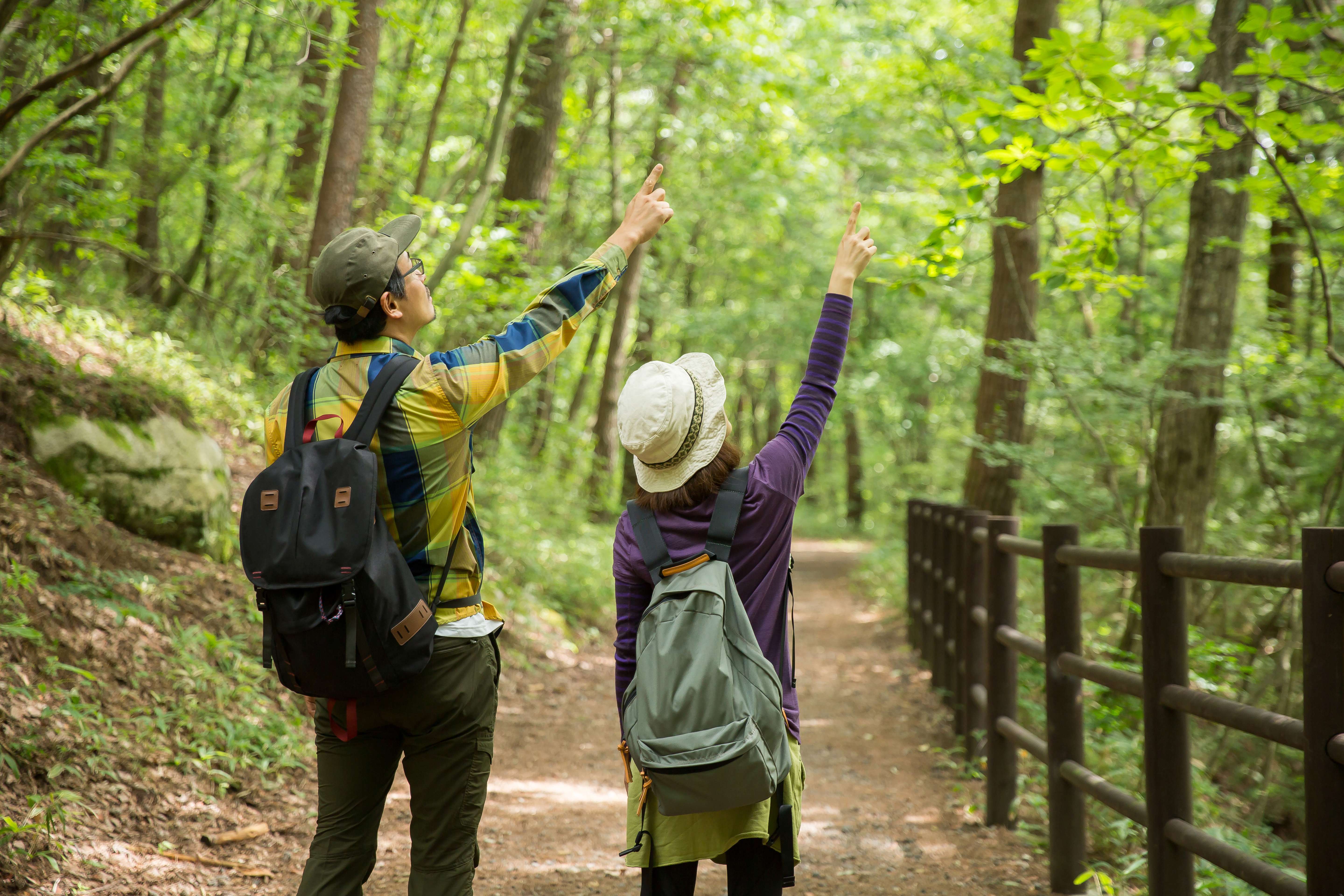 Learn birdwatching tips and facts from your guide