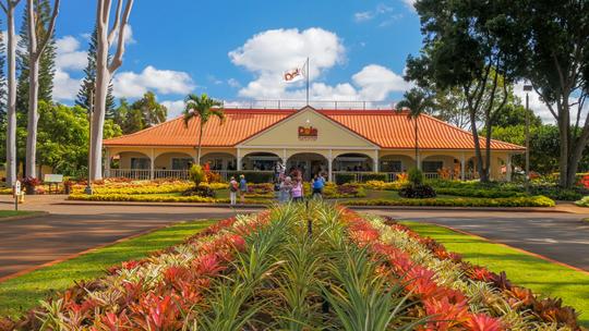 Visit the famous Dole Plantation in Oahu