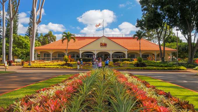 Visit the famous Dole Plantation in Oahu