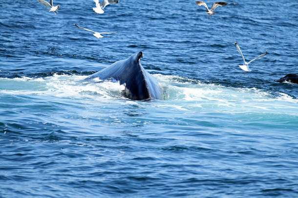 Qw6ds3i4o4va4ggqplv4pf6v36u8 downpic.cc 125976109